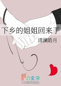 下乡的姐姐回来了改名字了吗