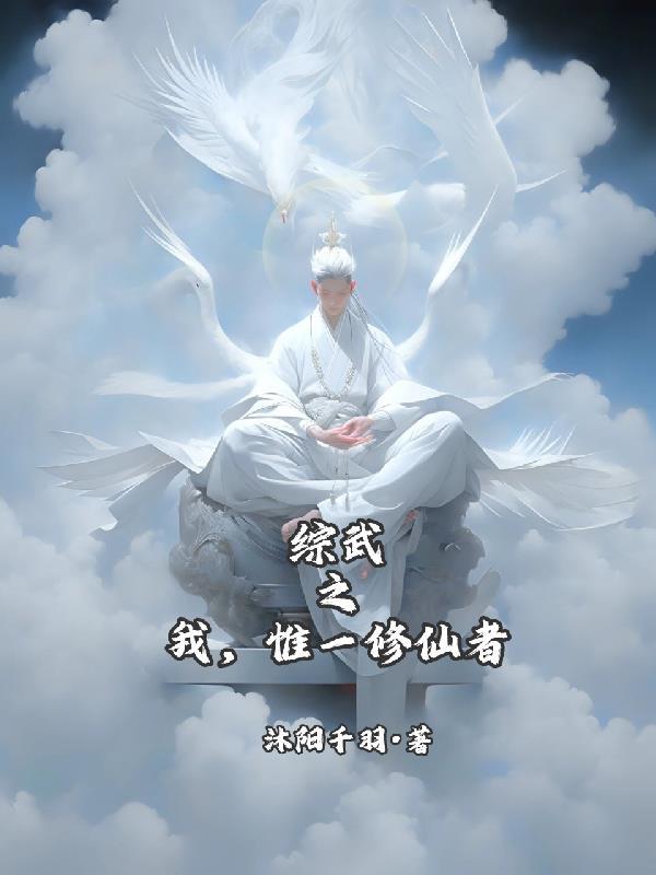综武世界我是