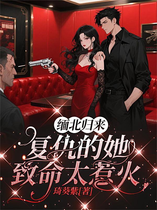 缅北反攻