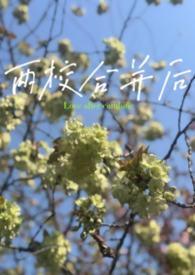 两个学校合并怎么合