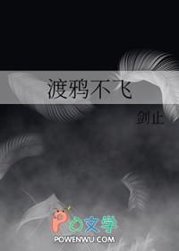 渡鸦鸟视频