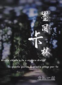 墨斯卡林之翼