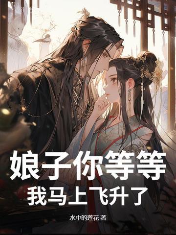 娘子你飞上九重天歌词