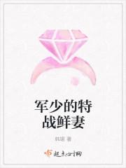 军少的首席特工人娇妻