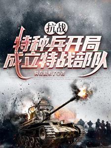 特种兵之抗战系统