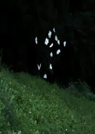 烂泥 兄妹骨科