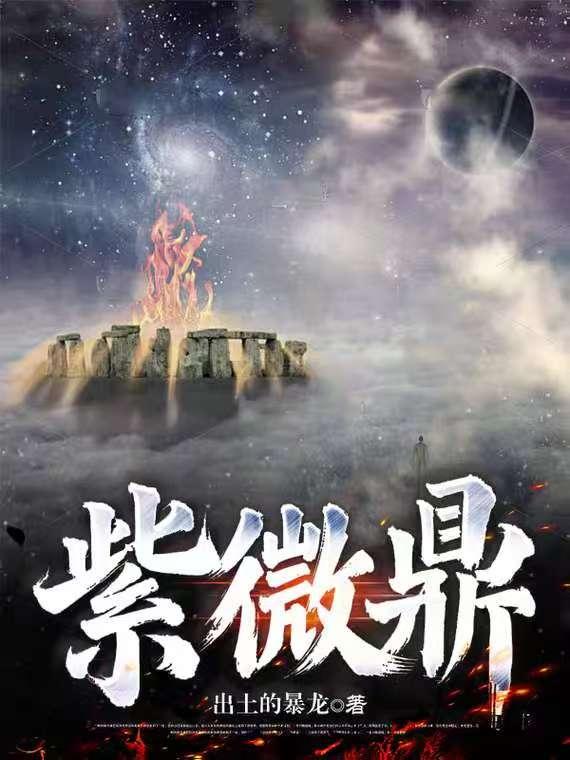 紫微鼎